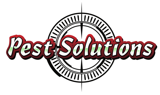 Pest Solutions Virginia